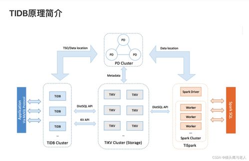 TiDB架構(gòu)解析 數(shù)據(jù)處理與存儲(chǔ)服務(wù)的核心特性